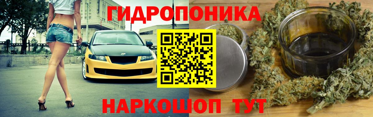 Конопля планчик  Канабис планчик  Марихуана сатива  Вход с VPN  Туапсе 